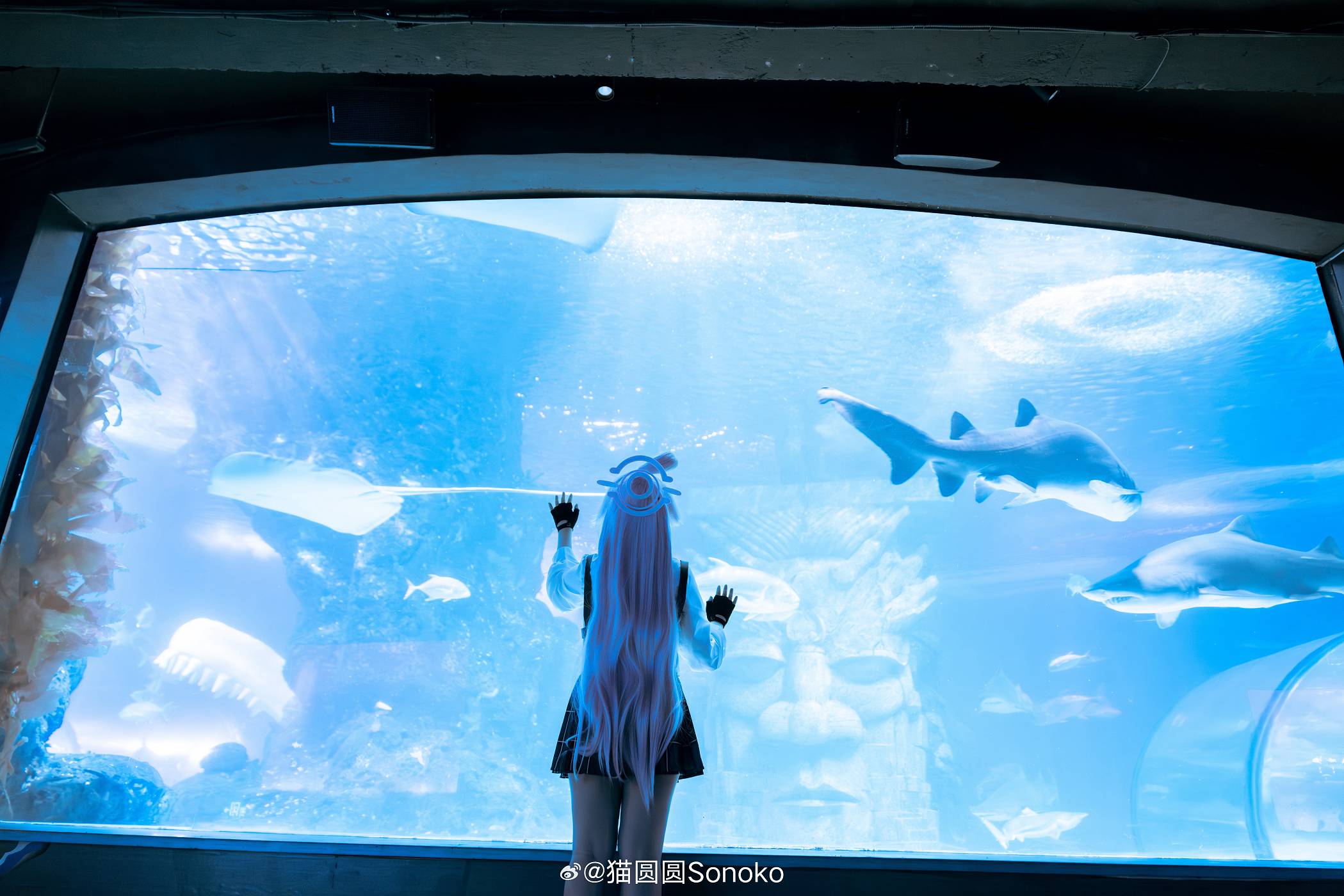 「蔚蓝档案」小鸟游星野cosplay